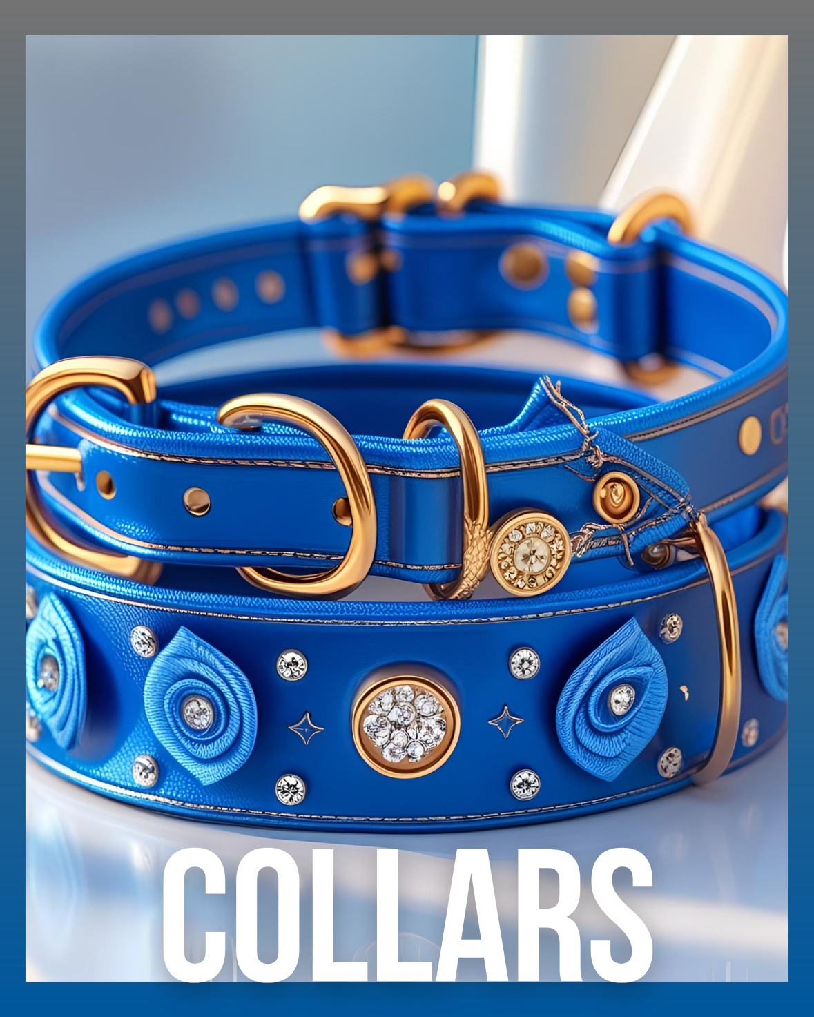 COLLARS