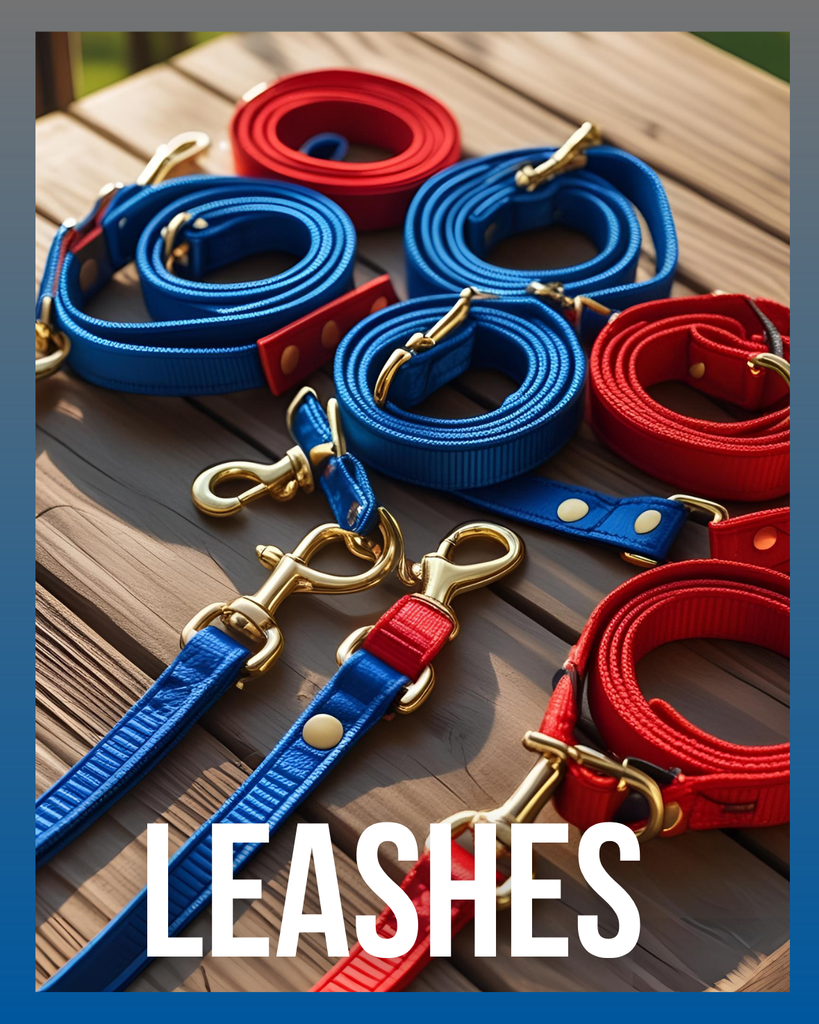 LEASHES